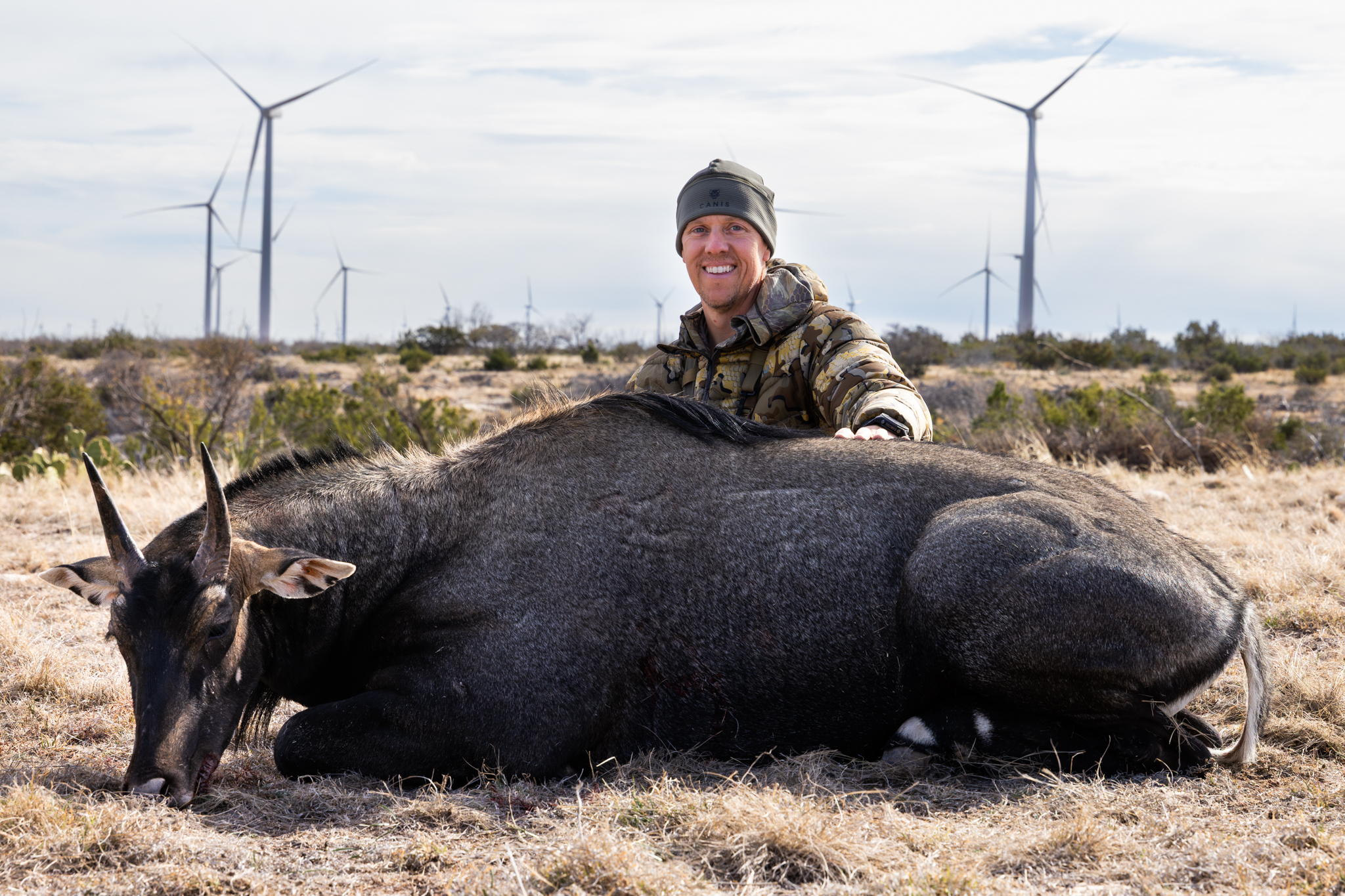 Axis & Exotic Game Hunts | Parker Ranch Texas